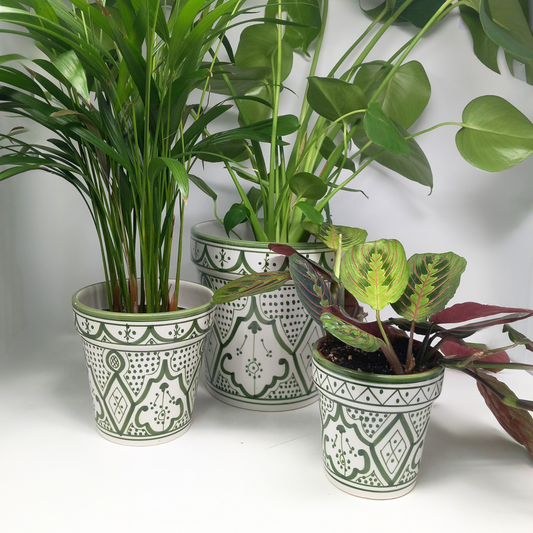 Safa Plant Pot Green