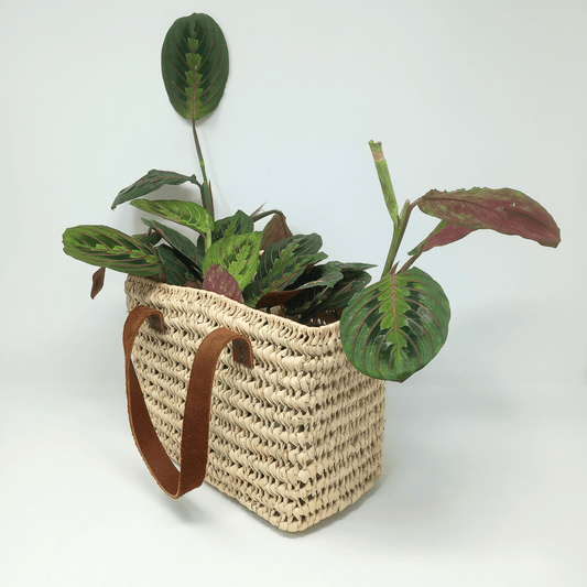 Leather Handle Storage Basket - Artisan Stories