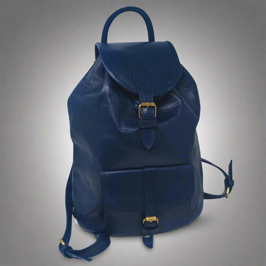 Sac a Dos blue Leather Backpack